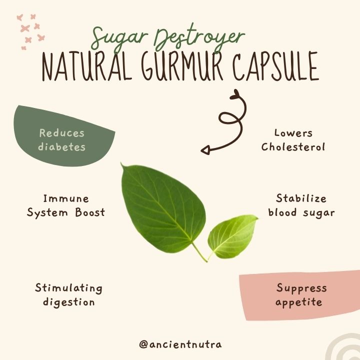 Gurmar capsules with fresh Gymnema sylvestre leaves