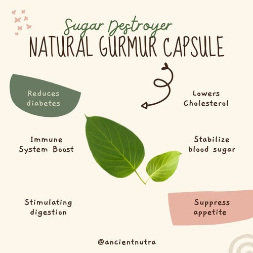 Gurmar capsules with fresh Gymnema sylvestre leaves